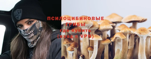 героин Алзамай