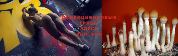 героин Алзамай
