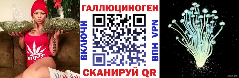 сколько стоит  Клин  Псилоцибиновые грибы мухоморы 