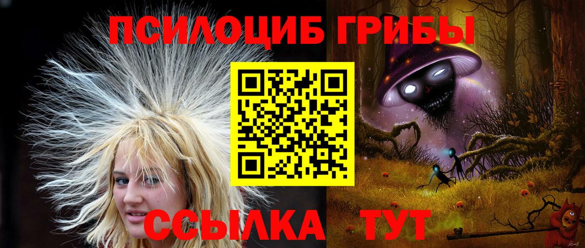 Псилоцибиновые грибы ЛСД  как найти   Галлюциногенные грибы Magic Shrooms  Клин  Вход с VPN 
