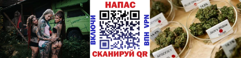 где купить наркотик  Клин  мега   МАРИХУАНА план 